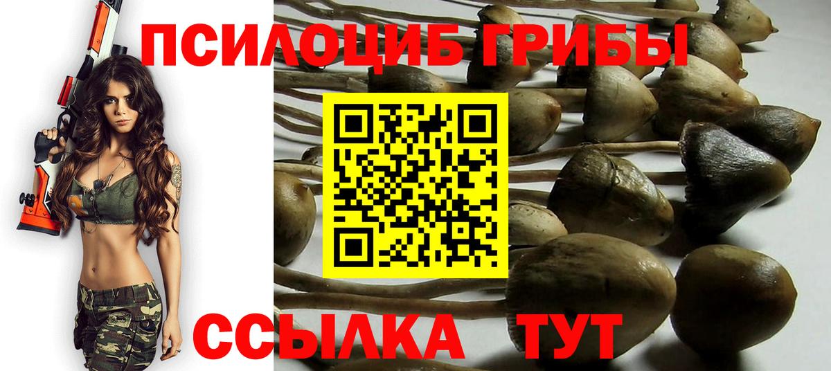 Псилоцибиновые грибы MAGIC MUSHROOMS  Галлюциногенные грибы прущие грибы  купить закладку  Курчатов  Вход с VPN 