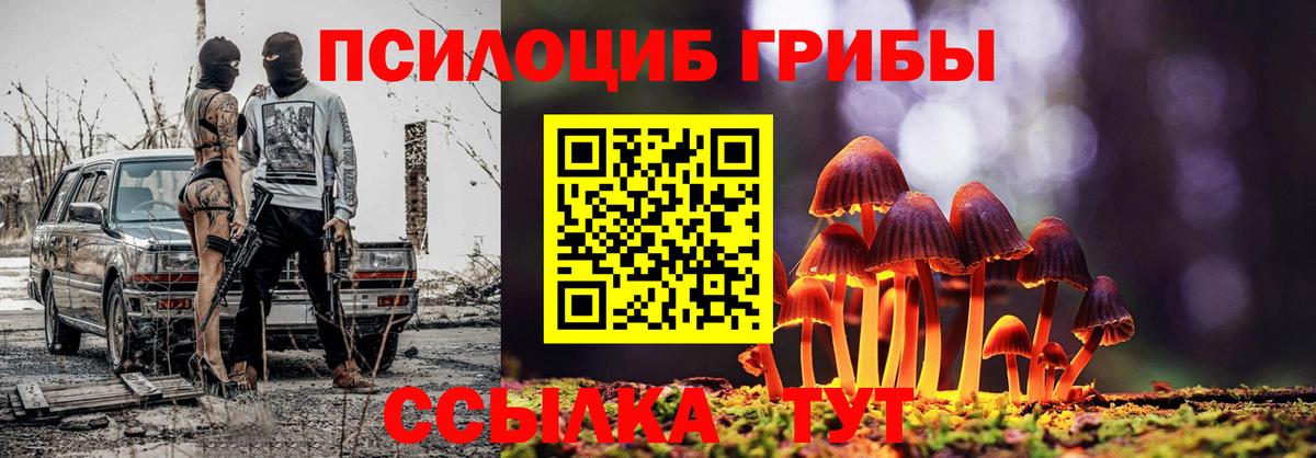 Псилоцибиновые грибы MAGIC MUSHROOMS Курчатов